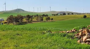 Belalie Wines - Image 5