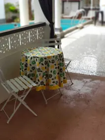 Casa de Tartaruga - Image 3