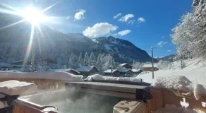 Savoya Lodges, 4 chalets privés, de 2 à 40 personnes - Image 3