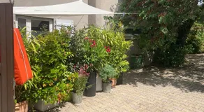 Maisonnette studio Arcachon 300m plage - Image 5