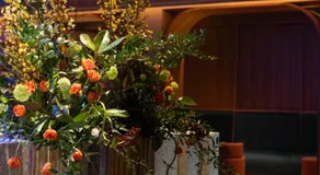 Mercer Madrid - New Opening - Image 5