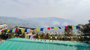 Hotel New Dolma Near Kasar Devi Almora - Image 3