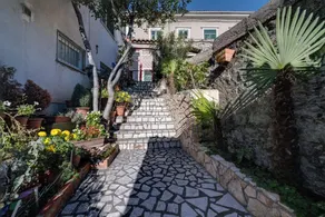 Apartments Antonia - Image 3