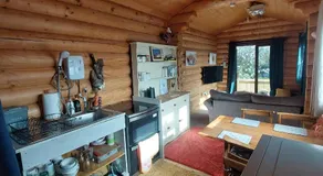 CABIN in hosts huge garden CHILD FRIENDLY with Hens Kittens firepit Marshmallows - Image 4