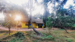 Quaint Goan Home • Insta: @little.yellow.house1943 - Image 4