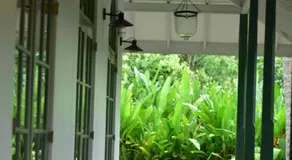 Rain Drops Wellness Villa Deniyaya, Sinharaja - Image 5