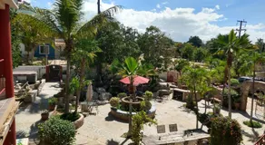 Hacienda De Palmas - Image 5