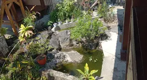 Radiya Guesthouse - Image 4
