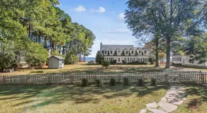 Crepe Myrtle - Image 5