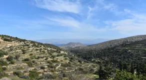 Lefkes Horizon - Image 5
