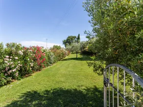 Ferienhaus in Volterra mit Pool und Aussicht - Image 4