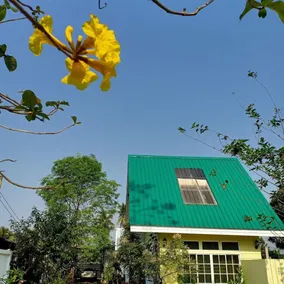 La Rose de Mae Taeng - Image 2