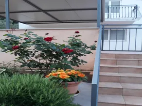 Apartment Lili - Image 4