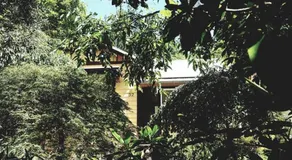 Dowling Cottage - tranquil haven in Blackheath - Image 4