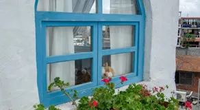 Hotel Casa Blanca - Image 4