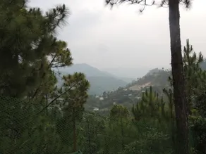 Whispering Heights Hotel - Image 5