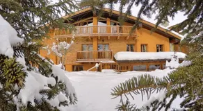 Chalet Alpina Hotel & Apartments - Image 4