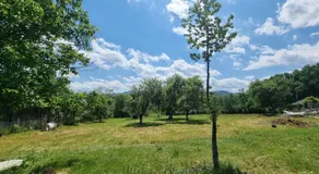 Casa primitoare in inima naturii si padurii - Image 5