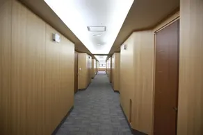 Sejong Spatel - Image 5