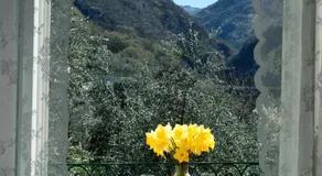 Agriturismo Conca Sandra - Farm Stay on Lake Como - Image 4