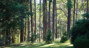 The Bower at Wildside Sanctuary - Image 4