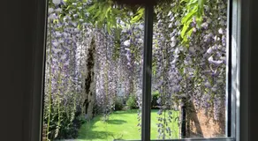 Bub Lane Cottage - Image 4