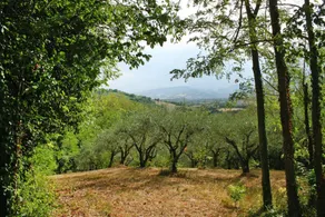 Holiday home Montemaggiore Marche with swimming pool - Image 3