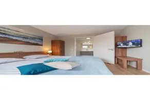 Villa in Zeeland near Clean Beaches - Image 2
