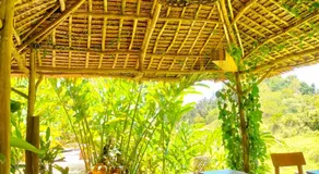 Canjahawon Nipa Hut Homestay - Image 3