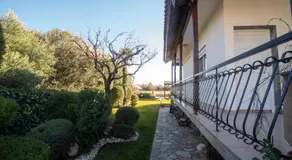Hacienda Eugenia - Image 4