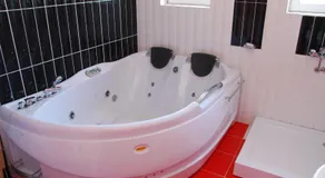 HOTEL VILA MITIC LUXX SPA centar - Image 3