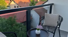 Mila apartman Banja Koviljaca - Image 5