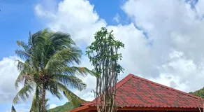 Mio Villa Tomang Omang Lombok - Image 3