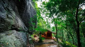Golden Fern Resort - Image 5