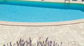 Gli Ulivi Di Montalbano - Image 3