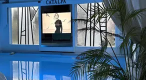 Catalpa - Image 4