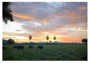 Wanlapa Farmstay - Image 4