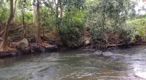ANGAMMEDILLA resort - Image 5