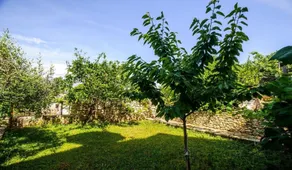 Apartment Anđelka A1 Sutivan, Island Brac - Image 3