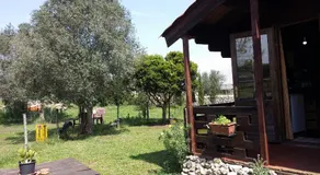 Campeggio Bungalow Darwin - Image 4