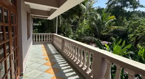 Hi Goa - Image 4