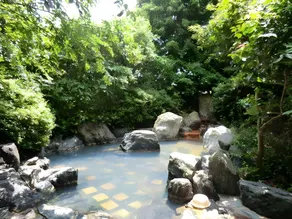 Oganeonsen Grand Hotel - Image 2