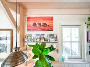 Stemningsfuldt sommerhus Overberg med privat have - Image 5