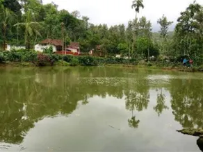 Green Glade Homestay-Coorg - Image 5