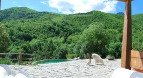 El Solei Paraiso en el Montseny - Image 3