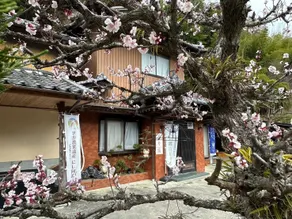 Guesthouse Uribou - Image 4