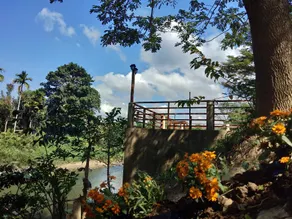 Our Eco Farm - Image 4
