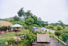 Vườn Rừng Campsite - Image 3