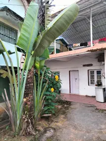 Wood House Home Stay Valparai - Image 4