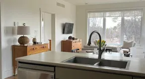 Escape the noise and unwind at the Bluebird Guest House - Image 4